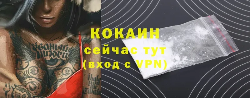 Cocaine Эквадор Зверево