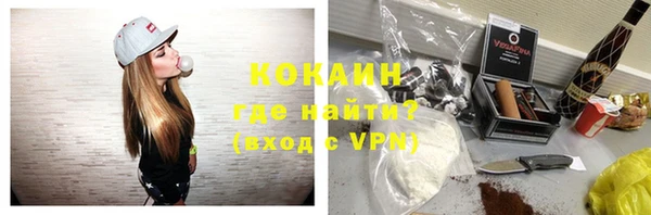 apvp Ельня
