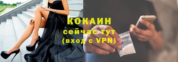 apvp Ельня