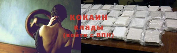 apvp Ельня